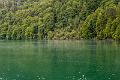 2018_08_09_Auvergne  (0010)